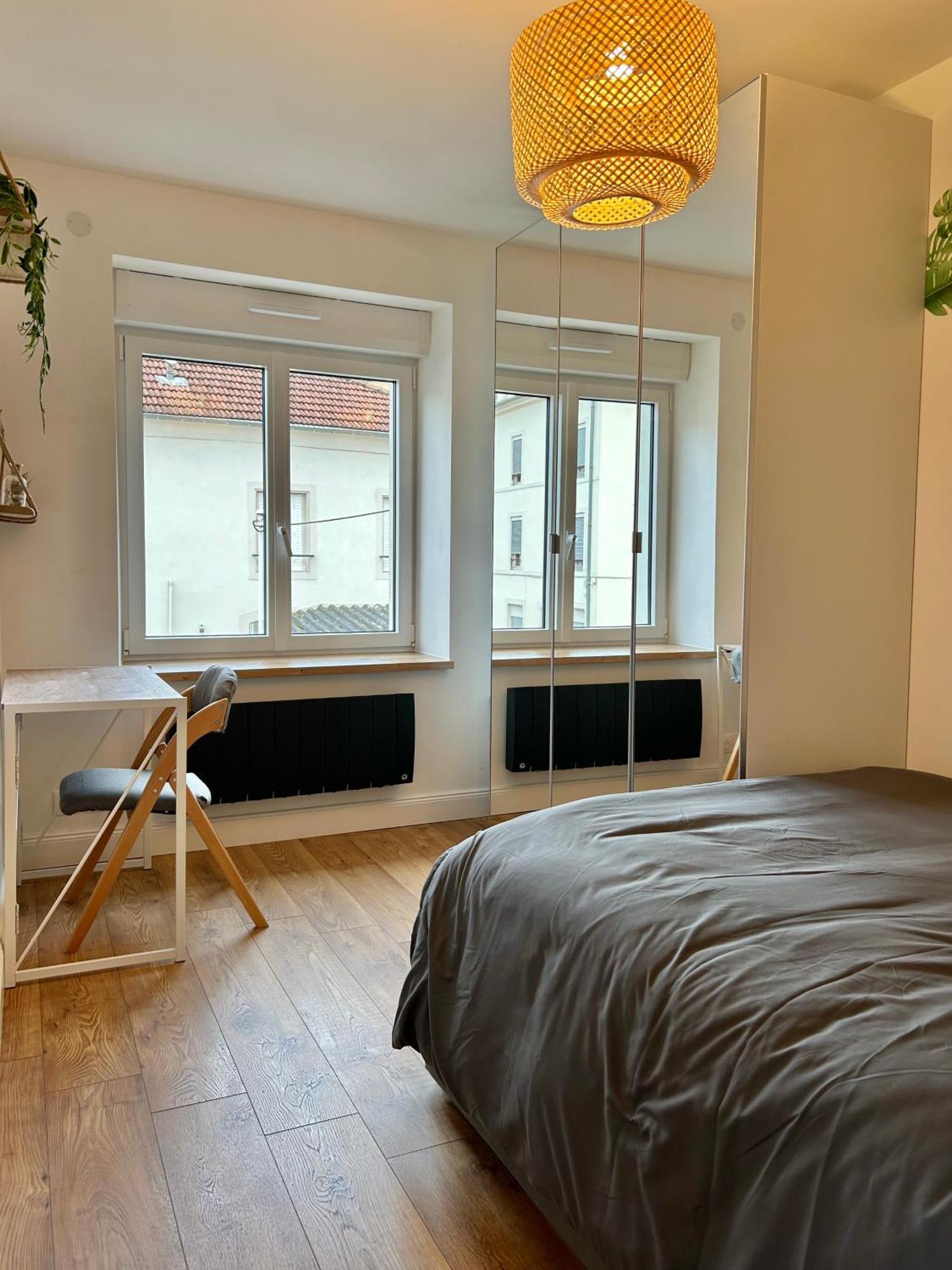 Le Chardon- Appartement 2Chambres- Avec Stationnement Nancy Bagian luar foto